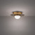 Landed Flush Mount Light