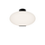 Illusion Flush Mount Light