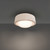 Tane Flush Mount Light