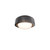 Tane Flush Mount Light