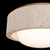 Tane Flush Mount Light