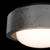 Tane Flush Mount Light