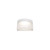 Tuck III Outdoor Flush Mount Light (FMW258605)