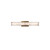 Lanza Wall & Bath Vanity Light