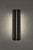 Kane Outdoor Wall Sconce Light