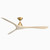Carve 72" 3 Blade Indoor / Outdoor Smart Ceiling Fan