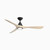 Carve 60" 3 Blade Indoor / Outdoor Smart LED Ceiling Fan