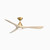 Carve 60" 3 Blade Indoor / Outdoor Smart LED Ceiling Fan