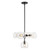 Willow 18-in Clear Glass/Matte Black 5 Lights Chandeliers