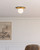 Plume 12-in Brushed Gold/Opal Matte Glass 1 Light Flush Mount