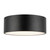 Brisbane 12-in Matte Black 2 Lights Flush Mount
