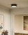 Brisbane 12-in Matte Black 2 Lights Flush Mount