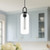 Soji 5-in Clear Glass/Matte Black 1 Light Pendant