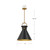 Emerson 14-in Matte Black/Aged Gold 1 Light Pendant