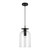 Sylvia 8-in Matte Black/Clear Glass 1 Light Pendant