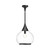 Hazel 14-in Clear Glass/Matte Black 1 Light Pendant