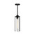 Belmont 5-in Clear Water Glass/Matte Black 1 Light Pendant