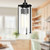 Belmont 7-in Clear Water Glass/Matte Black 3 Lights Pendant