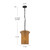 Kai 11-in Brushed Gold Socket Pendant