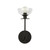 Sylvia 5-in Matte Black/Clear Glass 1 Light Wall Vanity
