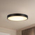 Evelyn 9-in Alabaster dimmable LED Flush Mount with Matte Black Finish - Matte Black/Alabaster