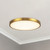 Evelyn 11-in Alabaster dimmable LED Flush Mount with Brushed Gold Finish - Brushed Gold/Alabaster