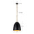 Grant 14-in Matte Black Pendant - Antique White