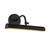Dottie 14-in Brushed Gold dimmable LED Wall/Picture Light - Matte Black