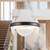 Taurus 22-in Urban Bronze/Clear Ribbed Glass LED Chandelier