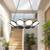 Novel 25-in Black LED Chandeliers