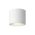 Nordic 4-in (5-in Dia.) White LED Exterior Ceiling