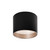 Mousinni 10-in Black LED Flush Mount