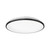 Brook 13-in Black LED Flush Mount