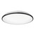 Brook 15-in Black LED Flush Mount