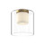 Birch 9-in Brushed Gold/Clear LED Flush Mount