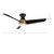 Thalia 54-in Brushed Nickel/Matte Black LED Hugger Fan