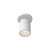 Lorna 6-in (3-in Dia.) 36 Degree Optic White LED Adjustable Ceiling Mount