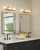 Birch 19-in Brushed Gold/Clear LED Vanity