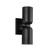 Nola 12-in Black 2 Lights Wall Sconce