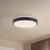 Yanis 12-in Black dimmable LED Flush Mount - Black