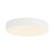 Rynn 5-in White dimmable LED Flush Mount - White