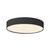 Rynn 5-in White dimmable LED Flush Mount - Black