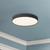Rynn 7-in White dimmable LED Flush Mount - Black