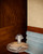 Folio 10-in Brown Vegan Leather dimmable LED Table Lamp - Space Gray