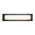 Charleston 19-in Chrome dimmable LED Bathroom Vanity Light - Black