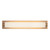 Charleston 24-in Black dimmable LED Bathroom Vanity Light - Vintage Brass