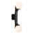 Briar 22-in Brushed Gold Wall/Vanity Light - Black