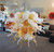 Chihuly Style Murano Glass Handmade Bubbles LED Chandelier Lighting