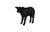Texelaar Sheep, Lamb, Gel Coat Black