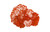 Flower Wall Art, Small, Coral, Metal